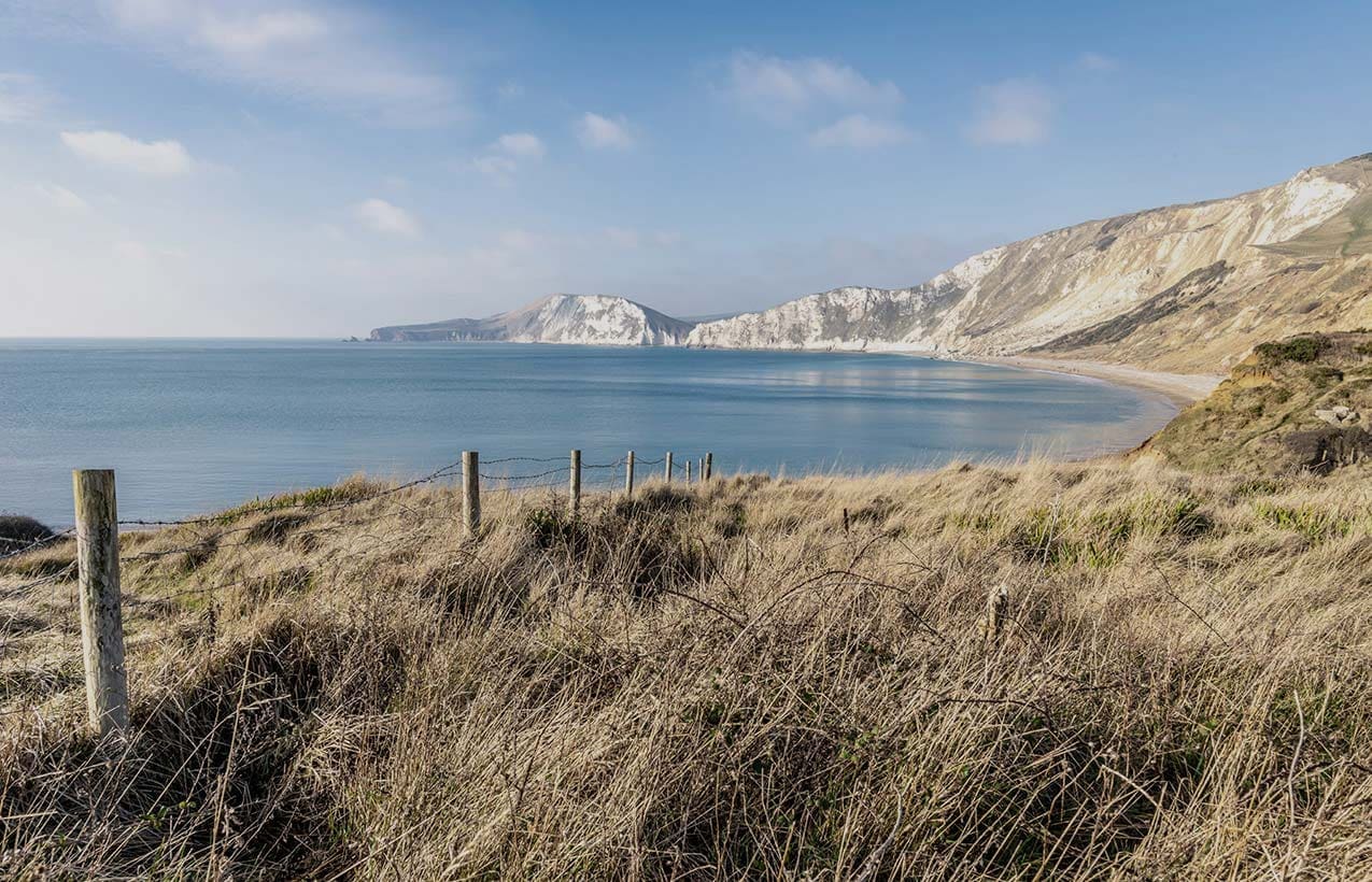 Coastal view of the blue sea over Warbarrow Bay in Dorset, cliff faces in the distance and grass in the forefront.