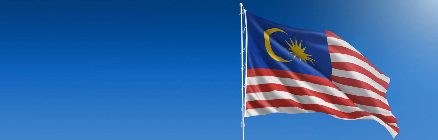 Immigration Update: Malaysia | Long Term Visit Pass (Social) and Transfer of Endorsement Applications