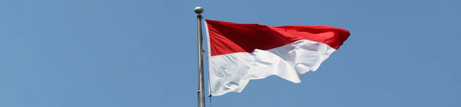 Immigration update : Indonesia | Ministry of Manpower release new Decree on Job Positions Available for Foreign Workers