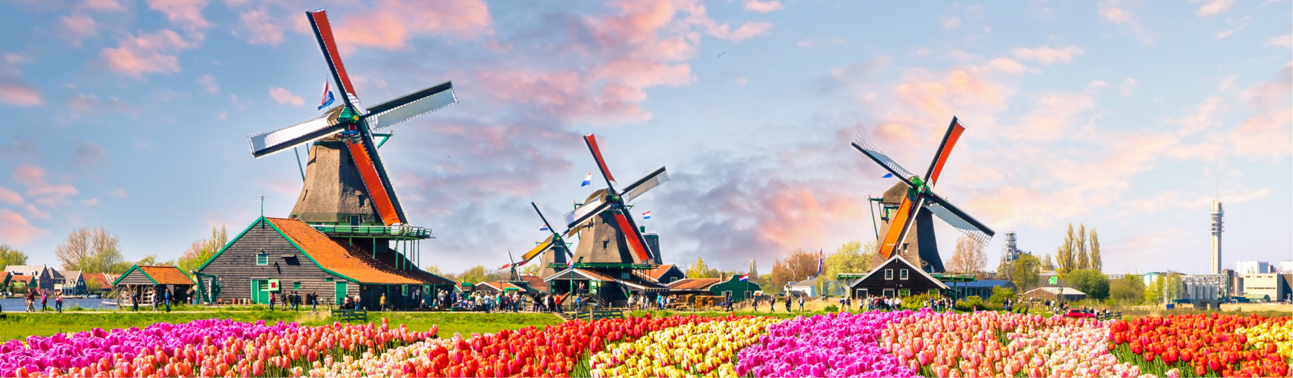 Can you move to the netherlands without a job?