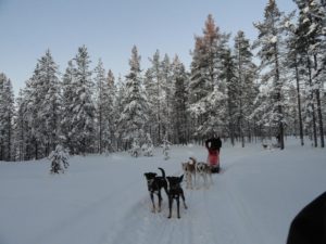 Roeland Keppens in the snow with husky dogs